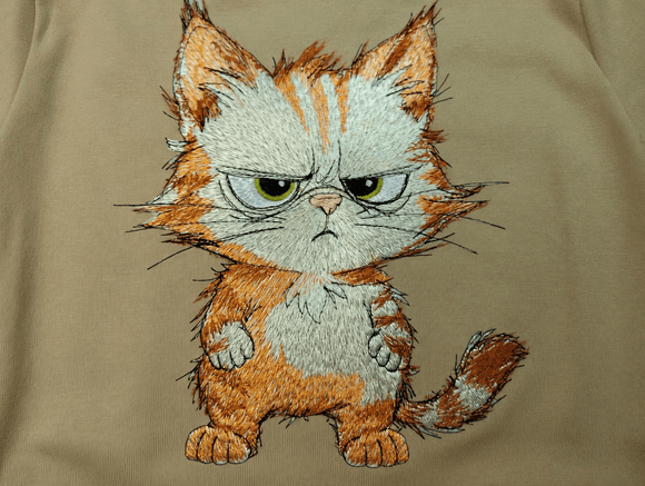 Kater zerzaust