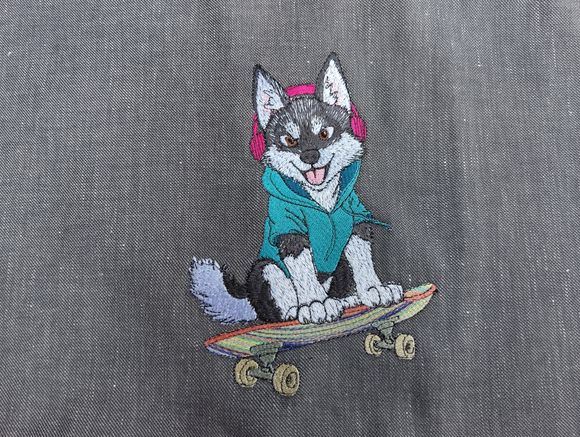 Husky mit Skateboard