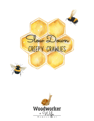 Slow Down Science: Creepy Crawlies