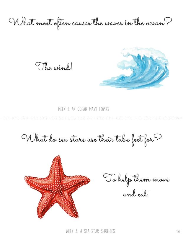 Slow Down Science: Ocean