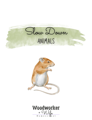Slow Down Science Animals