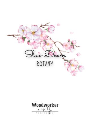 Slow Down Science Botany