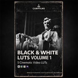 Black &amp; White LUTS Volume 1
