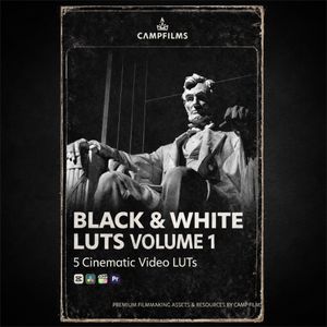 Black &amp; White LUTS Volume 1