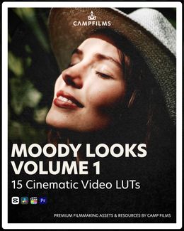 Moody Looks Volume 1