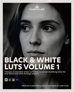 Black &amp; White LUTS Volume 1
