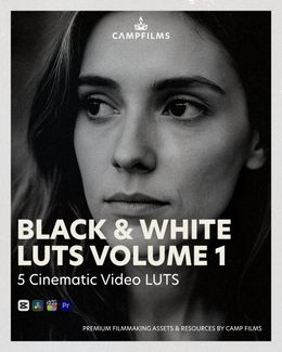 Black &amp; White LUTS Volume 1