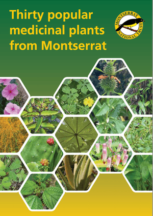 Thirty Popular Medicinal Plants from Montserrat