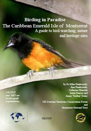 Birding in Paradise: The Caribbean Emerald Isle of Montserrat 