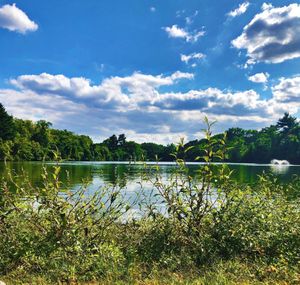 Lake Meditation 