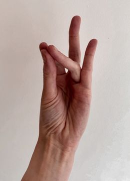 Rudra Mudra 