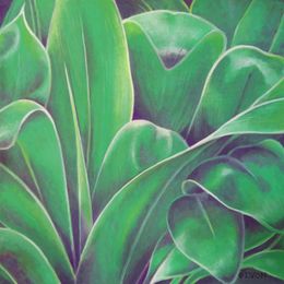 Hula Ti Leaves