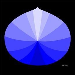 DISAPEAR MANDALA