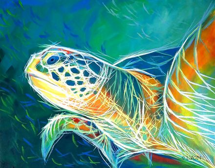 Sea Turtle
