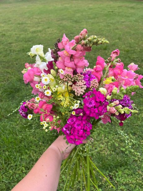 Spring Flower Subscription - Click For More Info