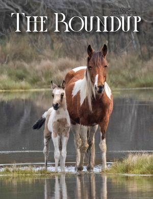 The Roundup | July 2025 Issue