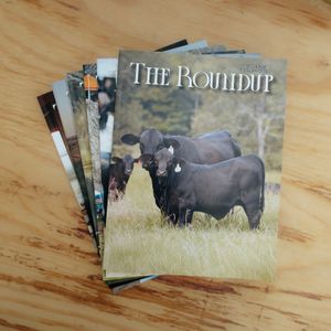 The Roundup | Yearly Subscription