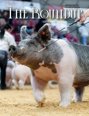 The Roundup | September 2025 Issue
