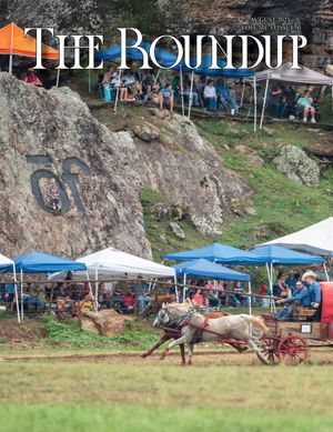 The Roundup | August 2025 Issue