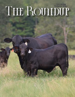 The Roundup | October 2025 Issue