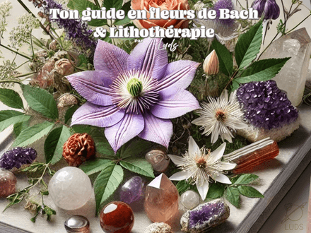 EBOOK - Ton guide en fleurs de Bach et lithothérapie