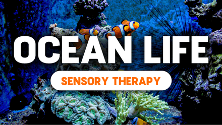 Ocean Life Sensory Videos