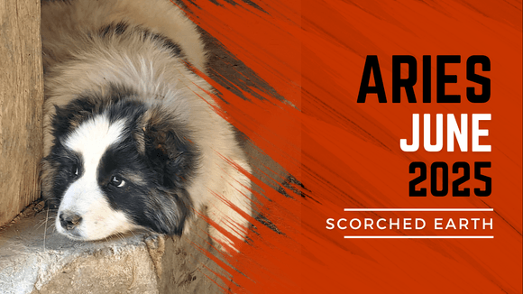 ARIES || JUNE 2025