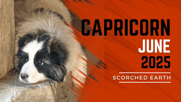 CAPRICORN || JUNE 2025