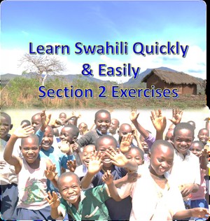 Learn Swahili Quickly &amp; Easily Section 2 Exercises