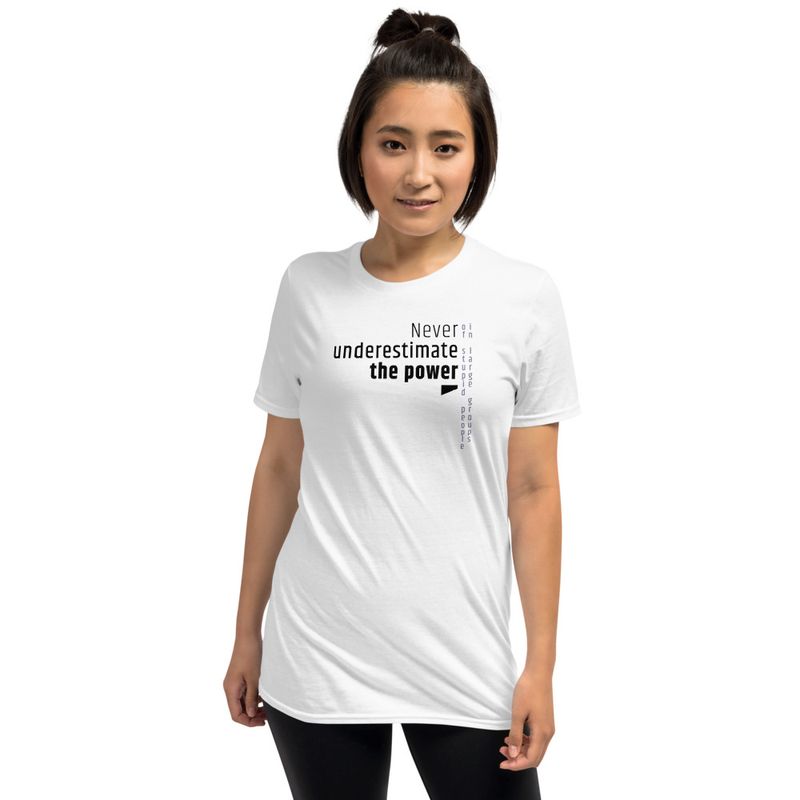 / Never Underestimate the Power of Stupid People in Large Groups / t-shirt / light