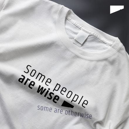 / Some People Are Wise. Some Are Otherwise / t-shirt / light