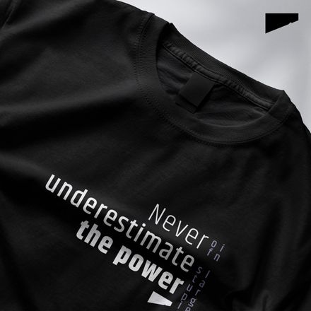 / Never Underestimate the Power of Stupid People in Large Groups / t-shirt / dark