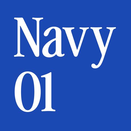 Navy_01 for Capture One