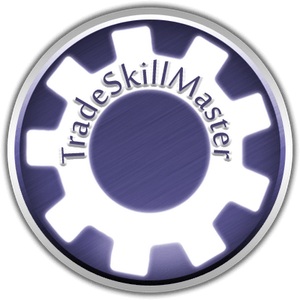 WoW Bundle - Trade Skill Master (TSM) Flipping 101 - TSM Strings + Guide