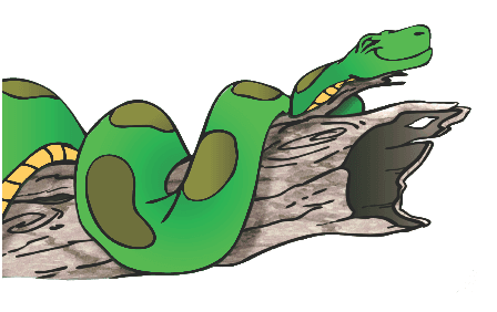 "Green Anaconda" Animated Music Video