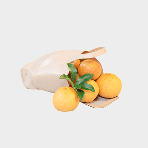 Sacola com frutas - D5 Render