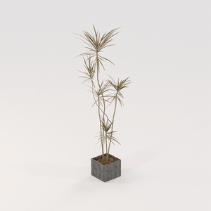 Planta no vaso 1 - D5 Render 