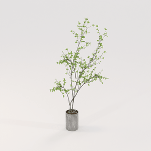 Planta no vaso 5 - D5 Render 