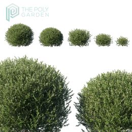 Olive Little Ollie for 3DS Max - GrowFX Option Available