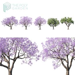 Jacaranda Mimosifolia for 3DS Max - GrowFX Option Available 