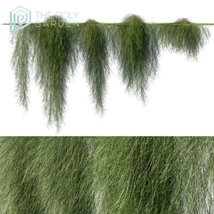 Casuarina Glauca &#x27;Cousin It&#x27; Hanging Plant for 3DS Max