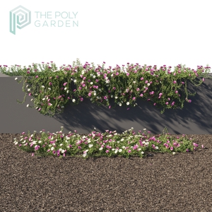 Portulaca Grandiflora for 3DS Max