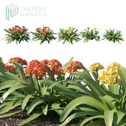 Clivia Miniata for 3DS Max - Growfx Option Available