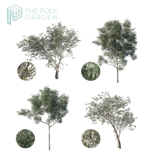 Eucalyptus Saligna Bundle for 3DS Max