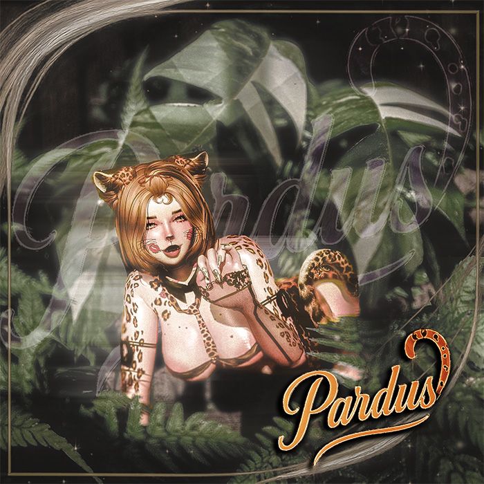 Pardus (PC - FaceTracking)