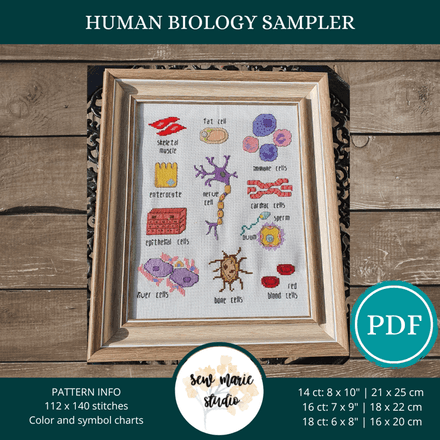 Human Biology Cells Sampler Cross Stitch Pattern