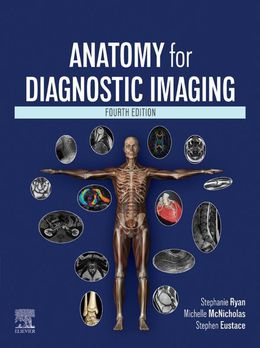  Anatomy for Diagnostic Imaging 4th Edition 