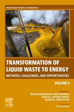 Transformation of Liquid Waste to Energy: Methods, Challenges, and Opportunities