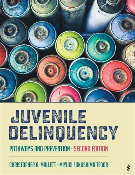 Juvenile Delinquency: Pathways and Prevention 2nd Edition