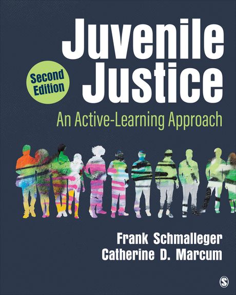 Juvenile Justice: An Active-Learning Approach 2nd Edition